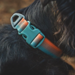 front range dog collar